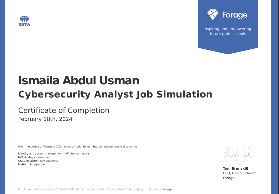 cyber-simukation